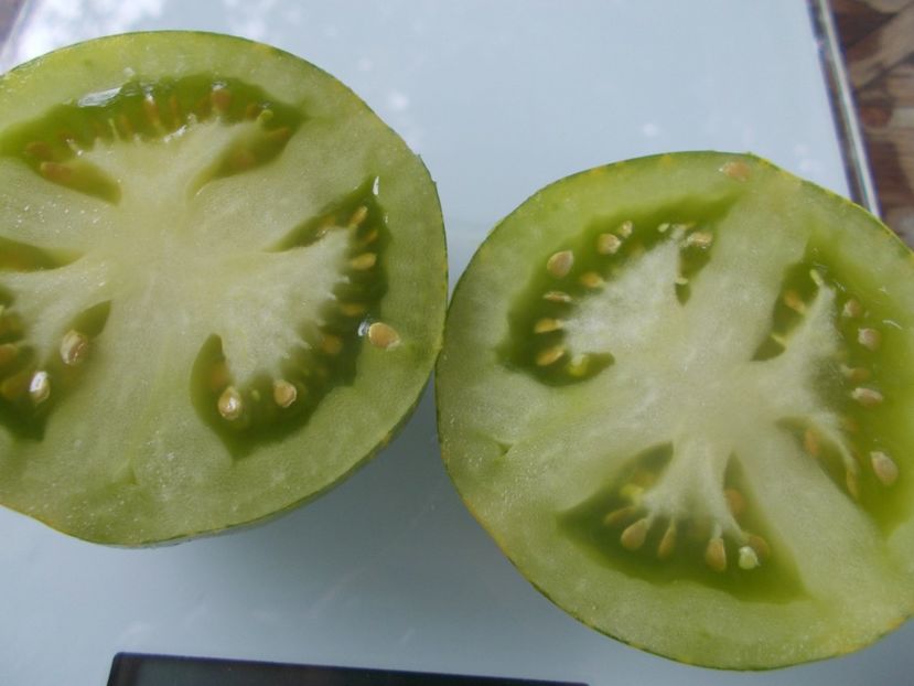  - SEMINTE ROSII - GREEN ZEBRA