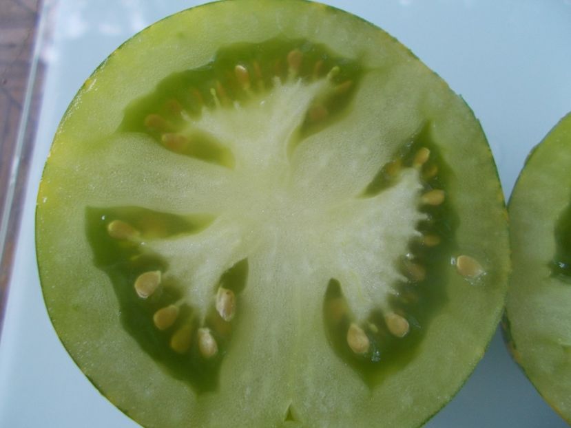  - SEMINTE ROSII - GREEN ZEBRA