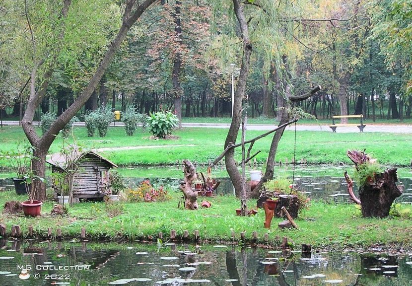  - PASARI - BIRDS