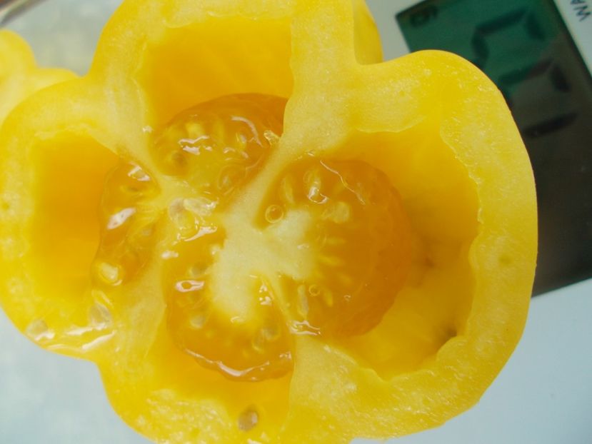  - SEMINTE ROSII - T 994 WHITE HOLLOW