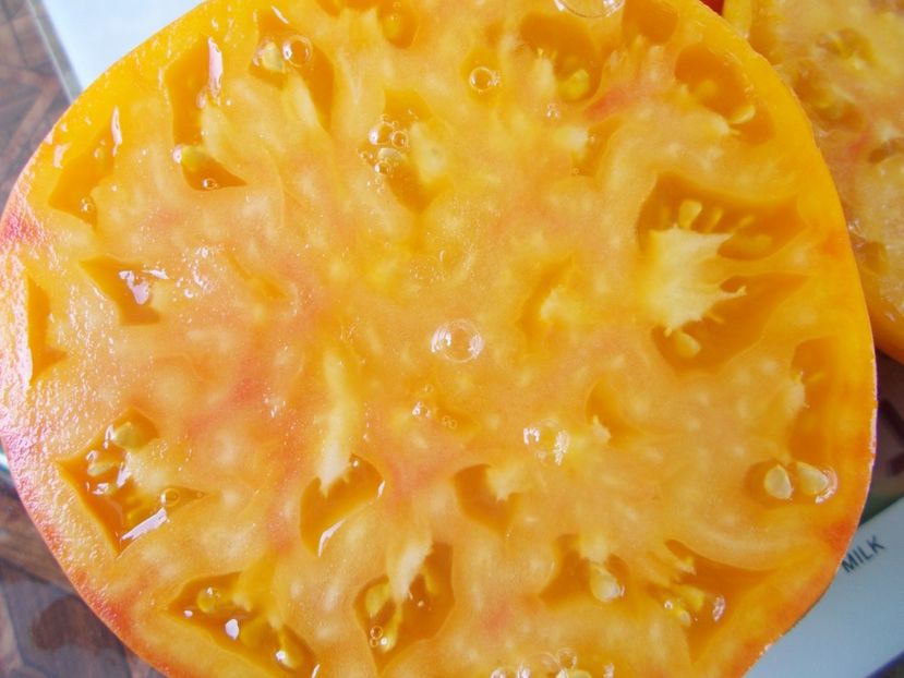  - SEMINTE ROSII - T 843 GORGEOUS WIZARD prozorlivyj koldun