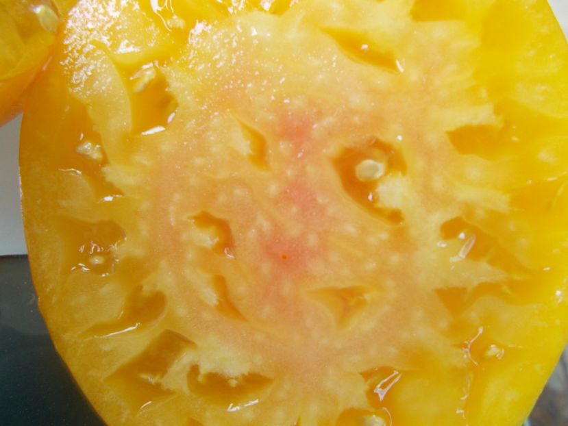  - SEMINTE ROSII - T 813 ZOLOTOY LAREZ