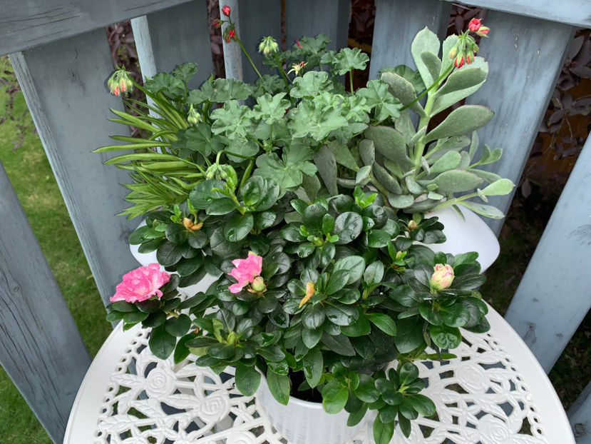  - Jurnalul gradinii 2022