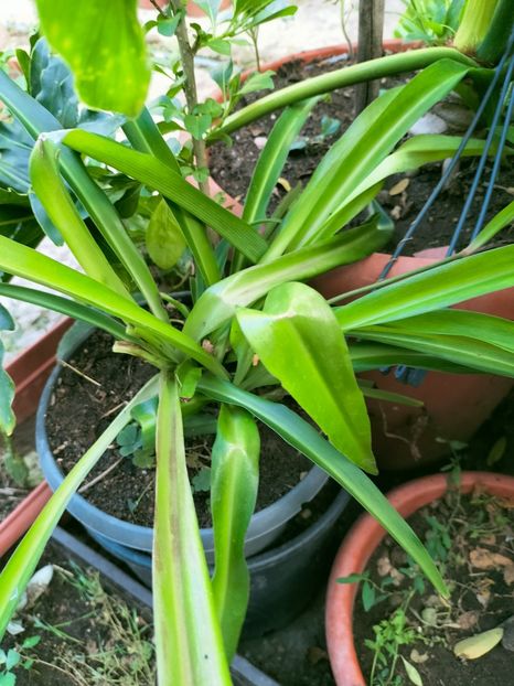 IMG20220728185300 - Iulie 2022