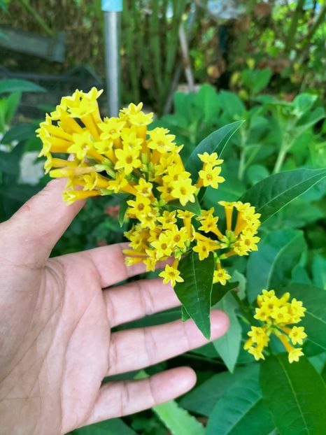 IMG20220728185234 - Iulie 2022