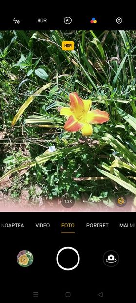Screenshot_2022-07-23-10-44-37-96_ff9f4748e95e98ccb680b698c50a8566 - Iulie 2022
