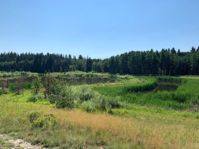  - Fish Creek Provincial Park