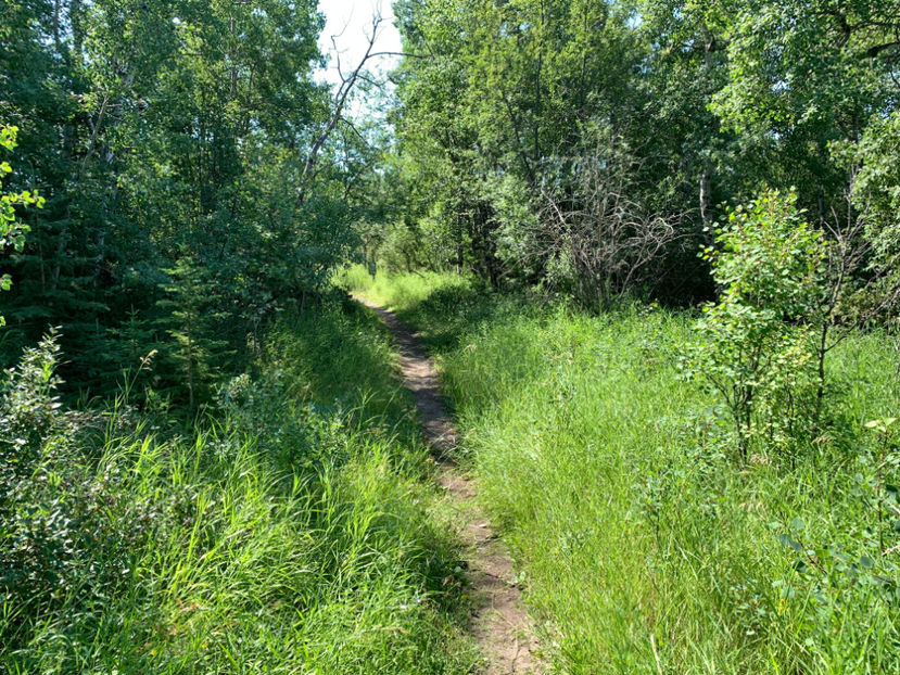  - Fish Creek Provincial Park