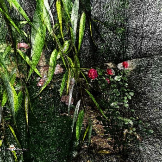  - FLORI - FLOWERS