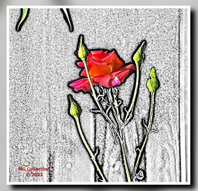  - DECO ART
