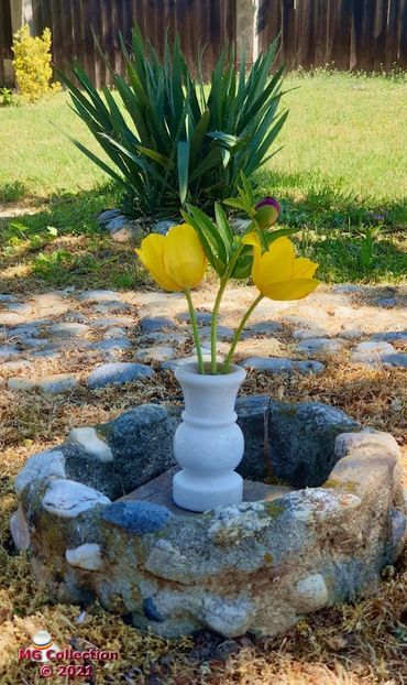 lalele (m2) - FLORI - FLOWERS