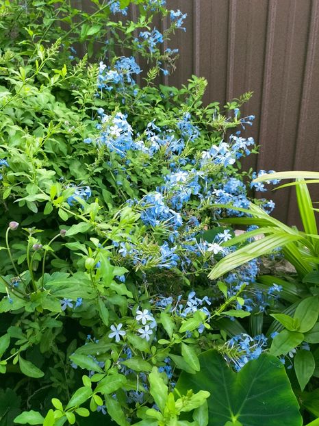 IMG20220731164453 - August 2022