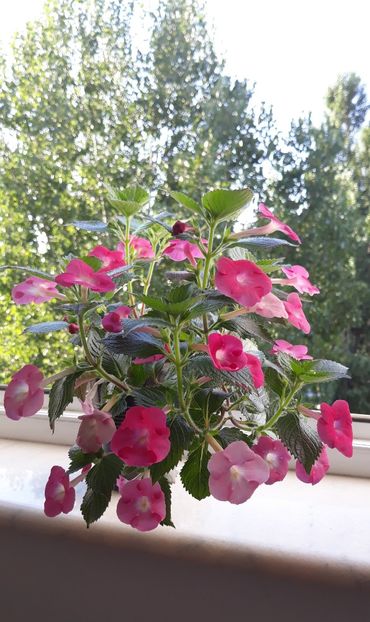  - 0001 2022 - BriD s GRETA