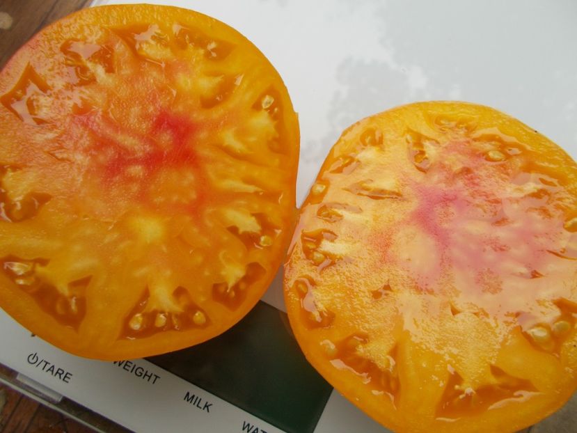  - SEMINTE ROSII - T 870 TASHKENT STAR