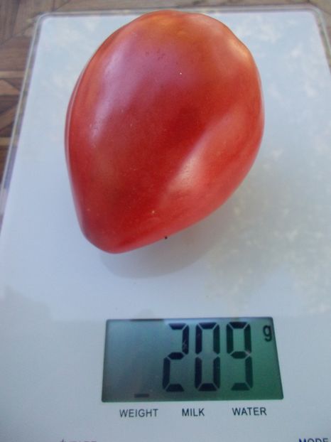  - SEMINTE ROSII - T 850 SWEET HEART