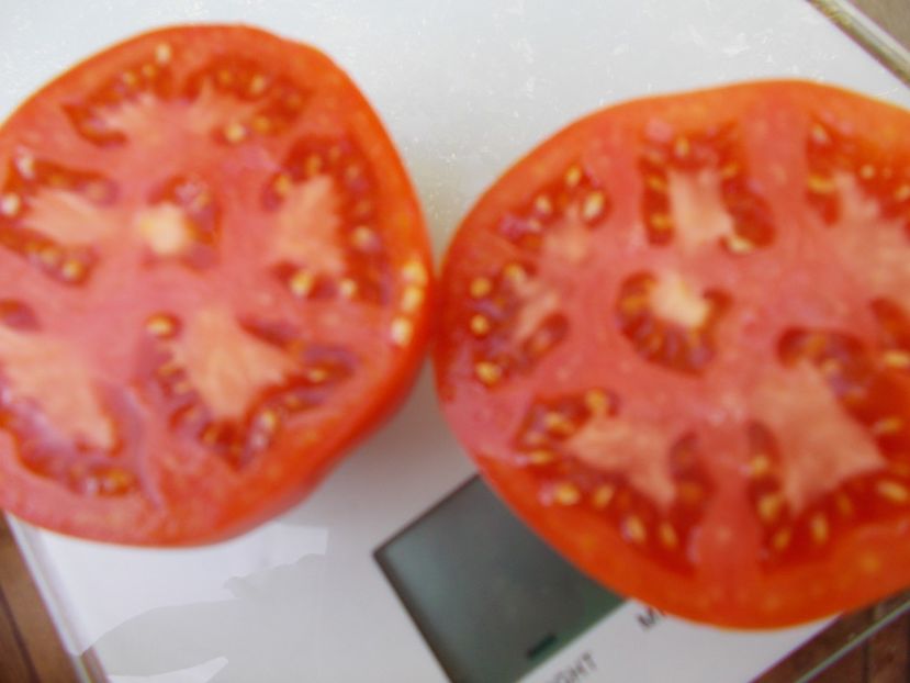  - SEMINTE ROSII - T 848 ELISABETA