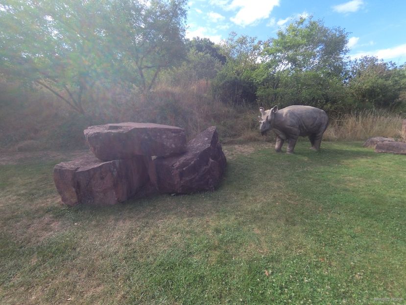 236AFB19-8F02-4ABF-A21A-97E68B5535F8 - 26 Iulie 2022