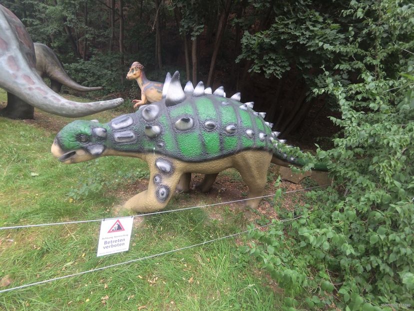 1FDF8DFA-DD86-4C75-917D-07FF2D3FB8F9 - 26 Iulie 2022