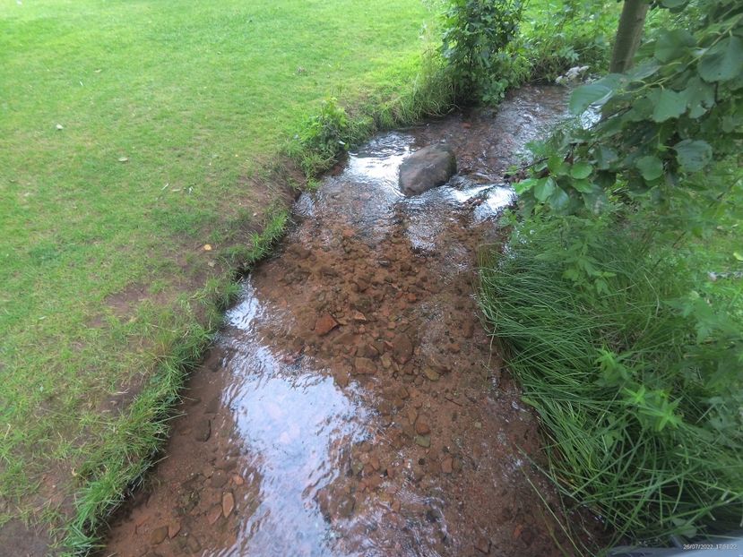 B2054A7A-CC47-46C3-93EC-C8C50F4CB93C - 26 Iulie 2022