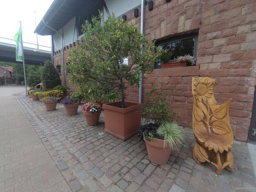 5A71DB68-0EFC-4F92-B558-DF596018F1DC - 26 Iulie 2022