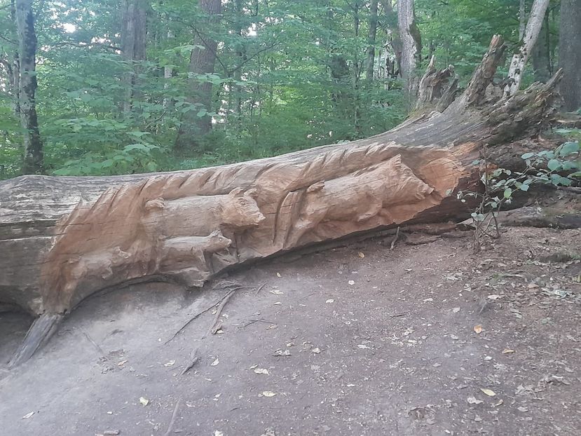  - Concediu cu tătă 2022