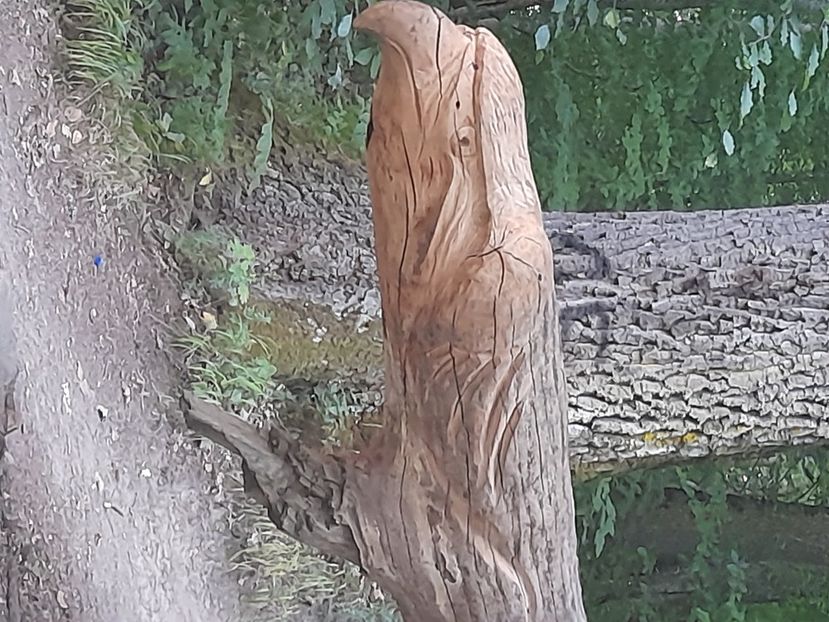  - Concediu cu tătă 2022