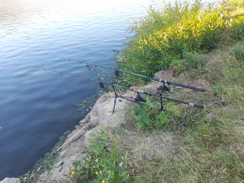  - Concediu cu tătă 2022