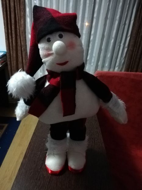  - DECORAȚIUNI DE CRACIUN