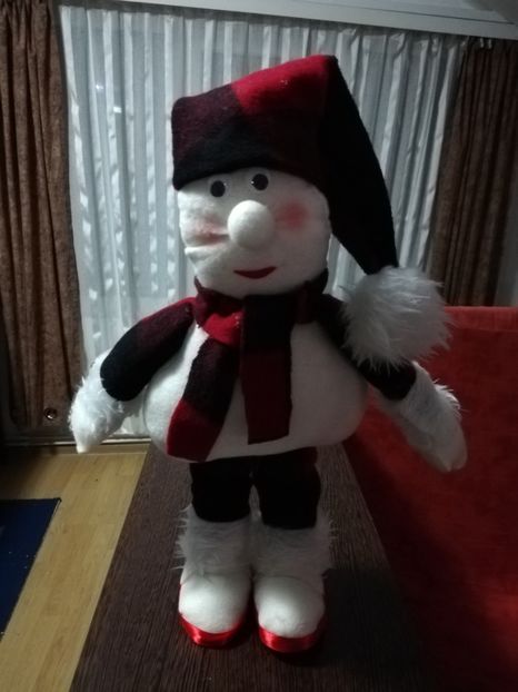  - DECORAȚIUNI DE CRACIUN