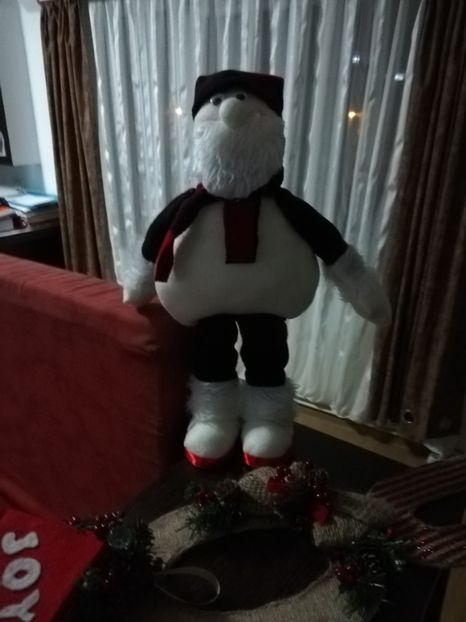  - DECORAȚIUNI DE CRACIUN