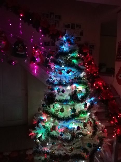  - DECORAȚIUNI DE CRACIUN