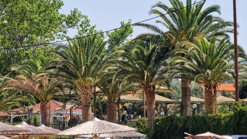  - 2022 VACANTĂ GRECIA THASSOS 1-14 iulie