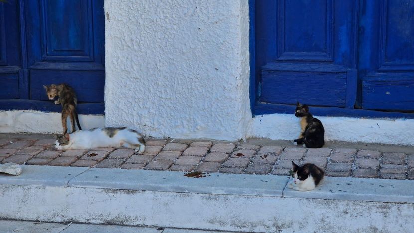  - 2022 VACANTĂ GRECIA THASSOS 1-14 iulie