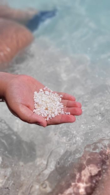 d0770920-278f-475f-92f3-63a459153dab - 2022 VACANTĂ GRECIA THASSOS 1-14 iulie