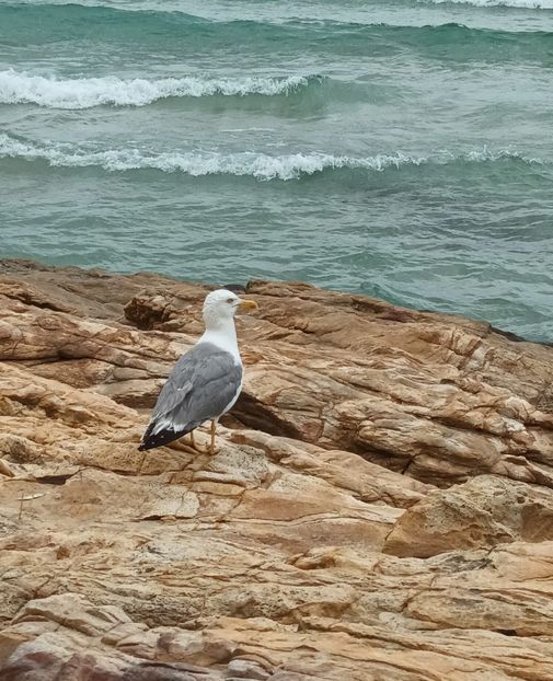 edith - 2022 VACANTĂ GRECIA THASSOS 1-14 iulie