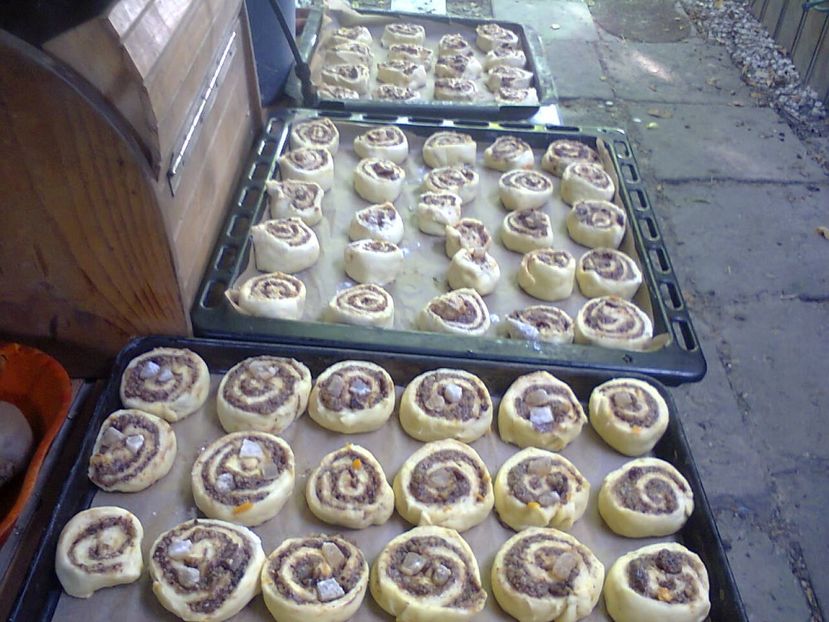 Fotografie6438 - 2022 VACANTĂ GRECIA THASSOS 1-14 iulie