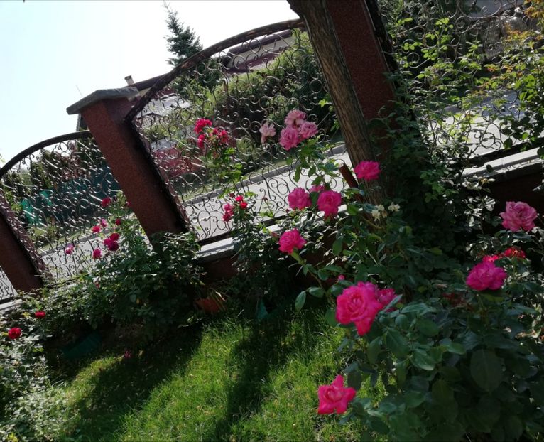  - Gradina vara 2022