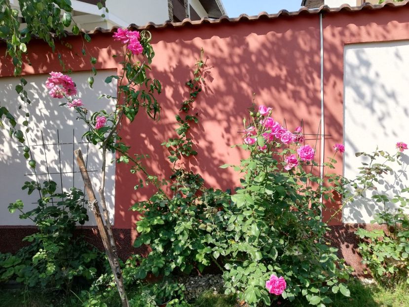  - Gradina vara 2022