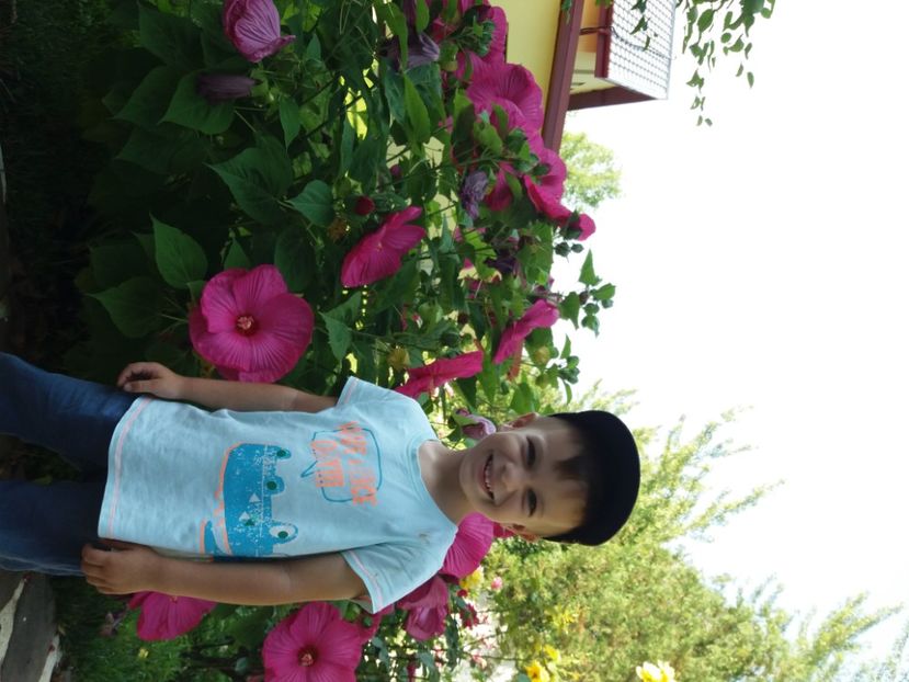  - A FLORILE LUI MATEUTU ----------------