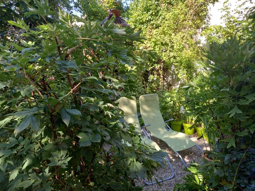  - Grădina 2022 continuare 3