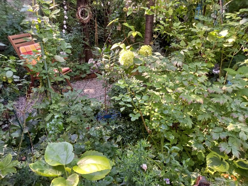  - Grădina 2022 continuare 3