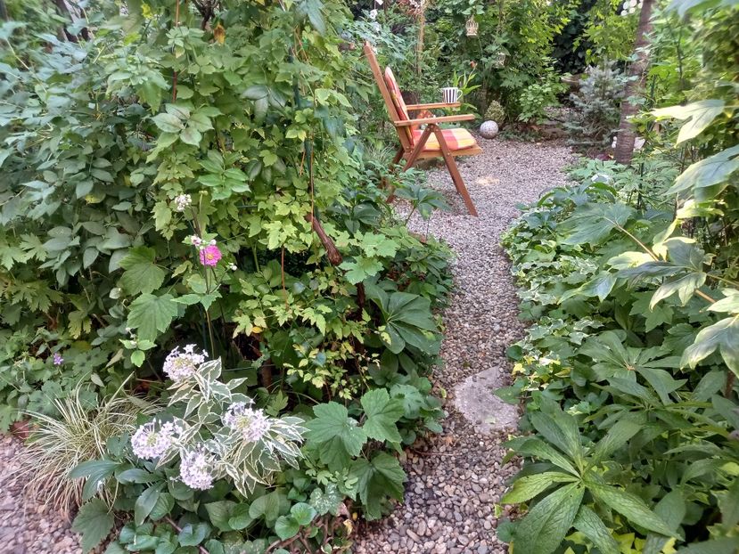  - Grădina 2022 continuare 3