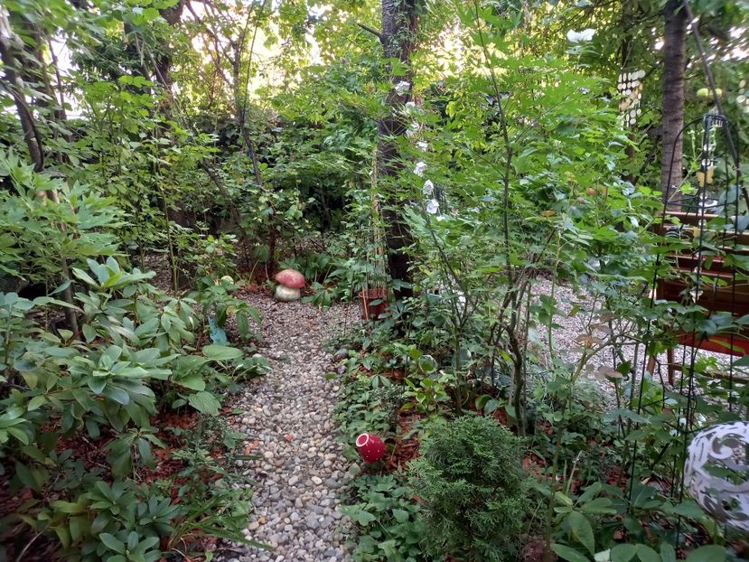  - Grădina 2022 continuare 3