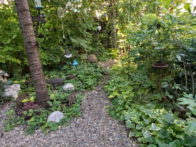  - Grădina 2022 continuare 3