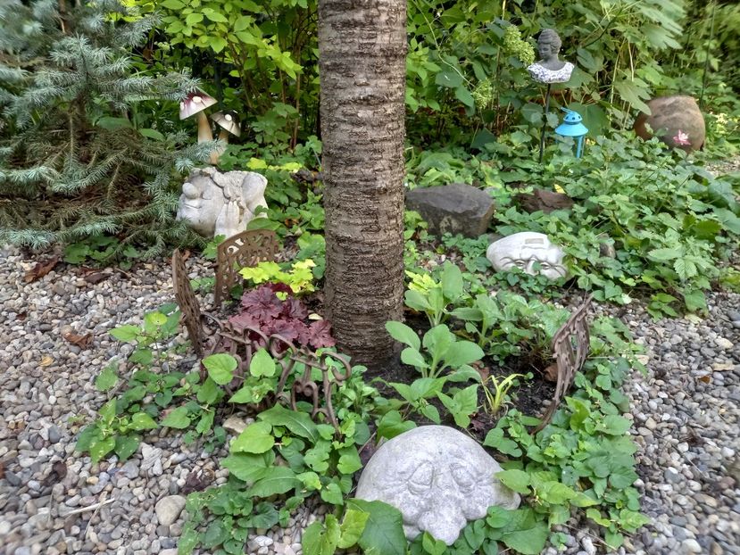  - Grădina 2022 continuare 3