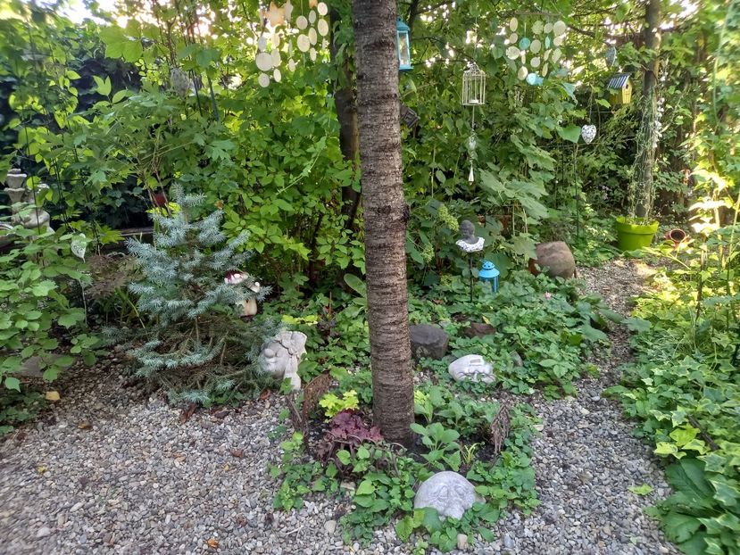  - Grădina 2022 continuare 3