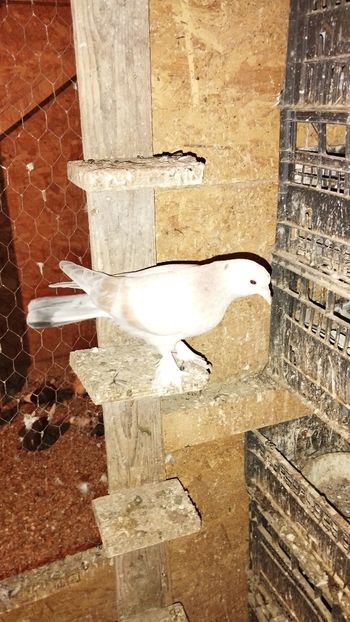 IMG-20220724-WA0078 - Takla 2022