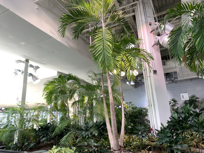  - Devonian Gardens