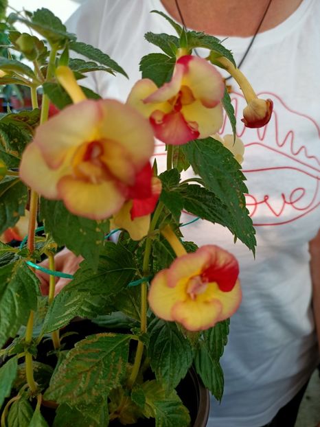 Img.2022.08.03 - 5-La inima bună din inima țarii