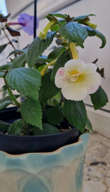  - Santiano Improved R